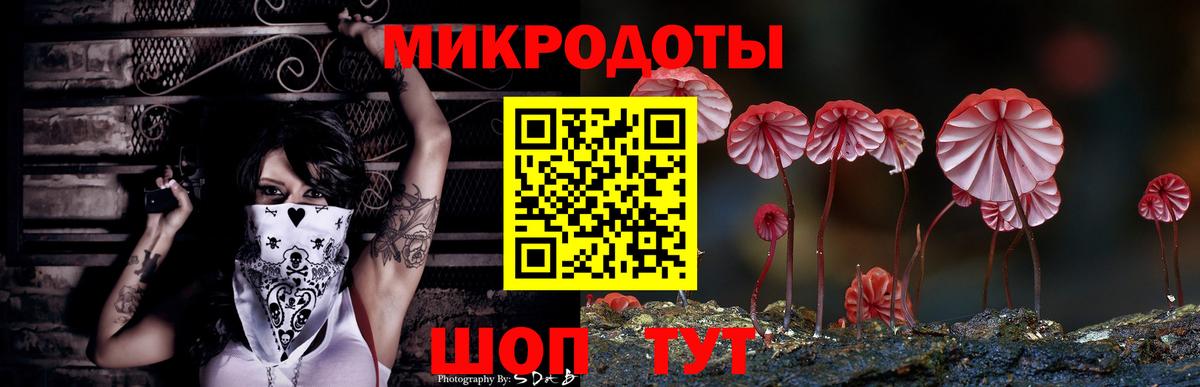 Верхний Уфалей  Псилоцибиновые грибы прущие грибы  Вход с VPN 